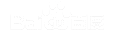 ʯ��ׯAI�Ż�